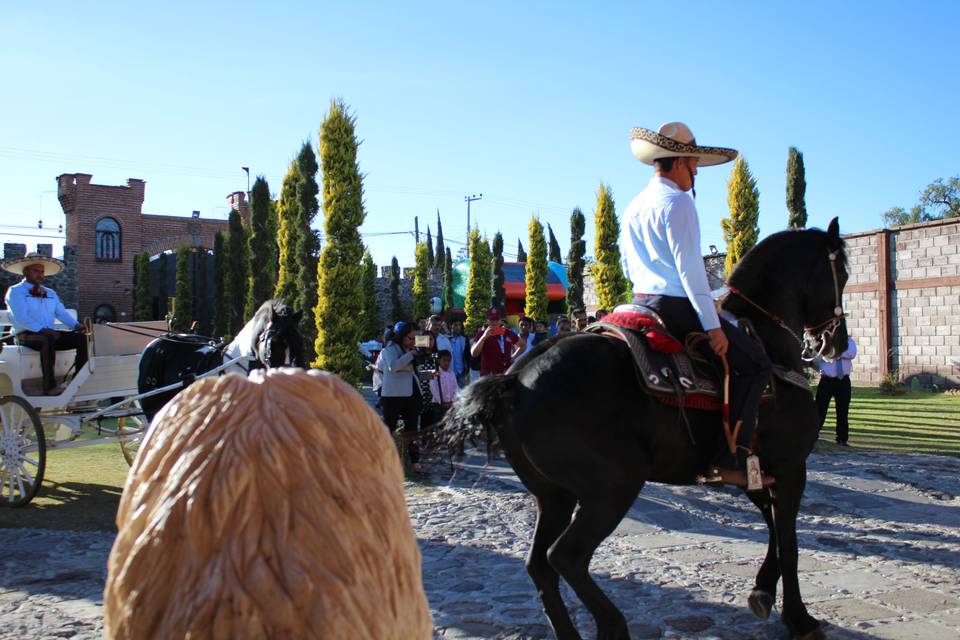 Transporte a caballo