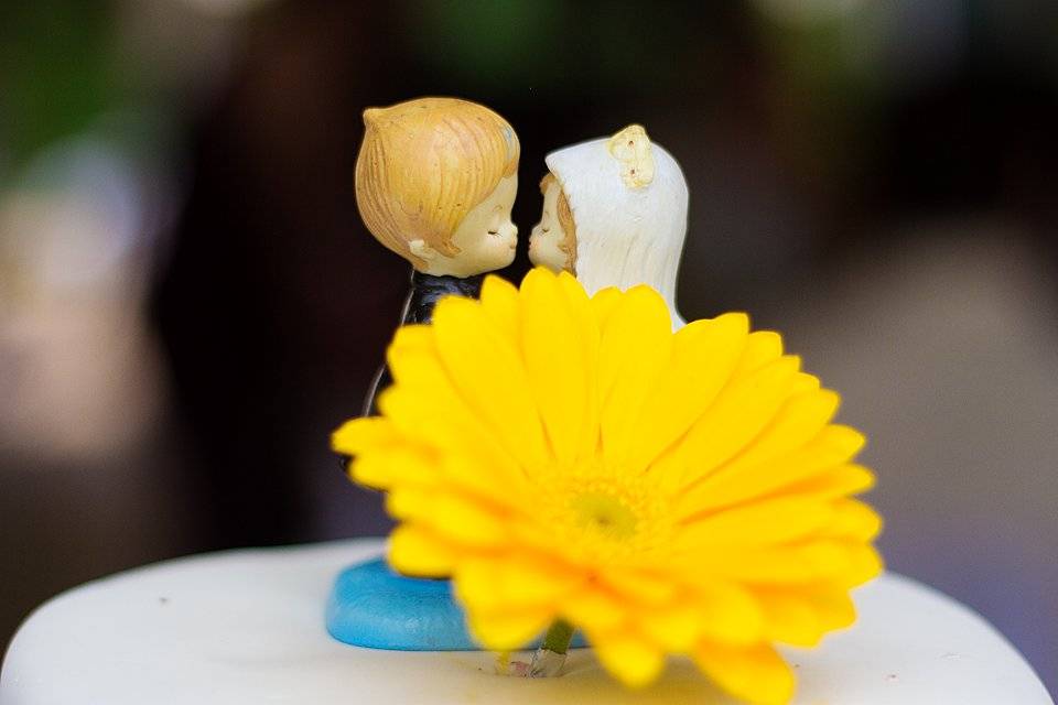 Boda en Tlaquepaque,