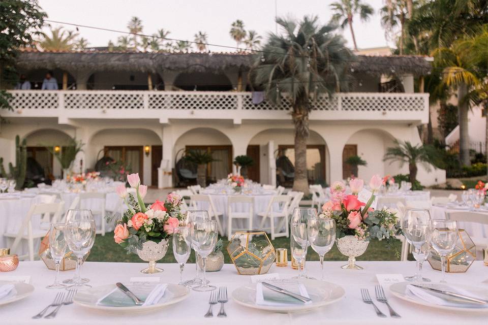 Romantic Cabo Weddings