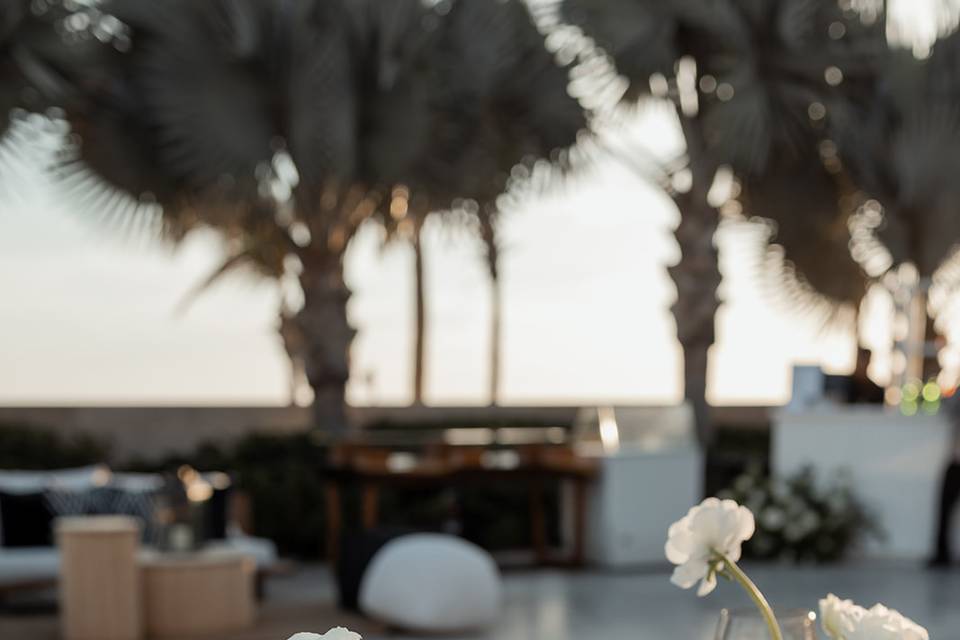 Romantic Cabo Weddings