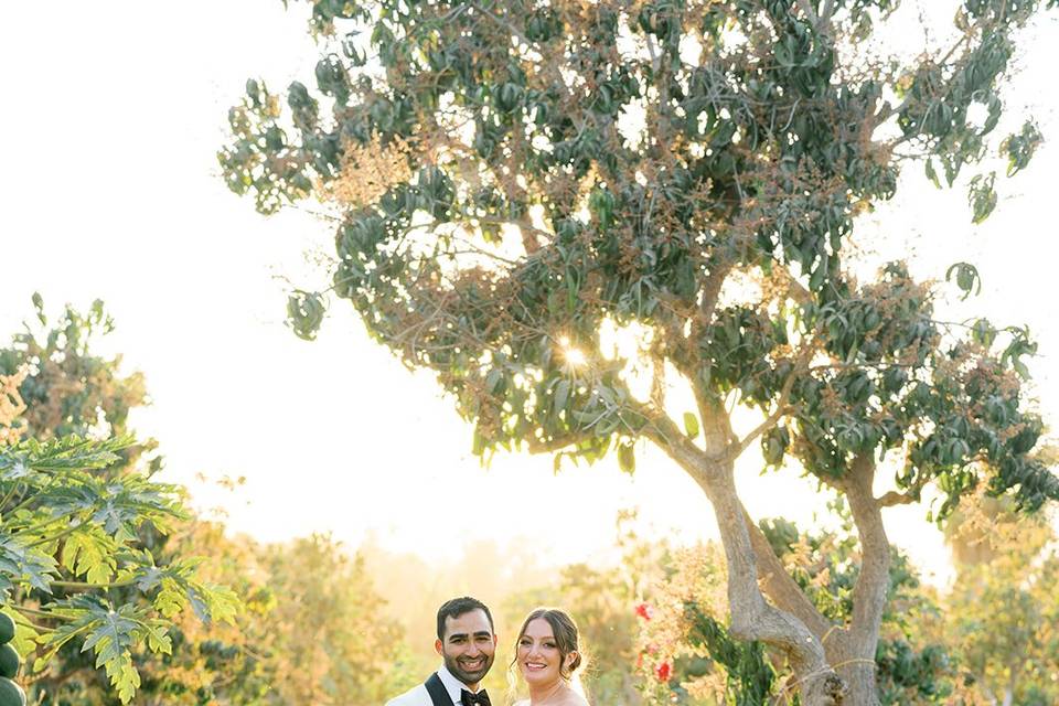Romantic Cabo Weddings