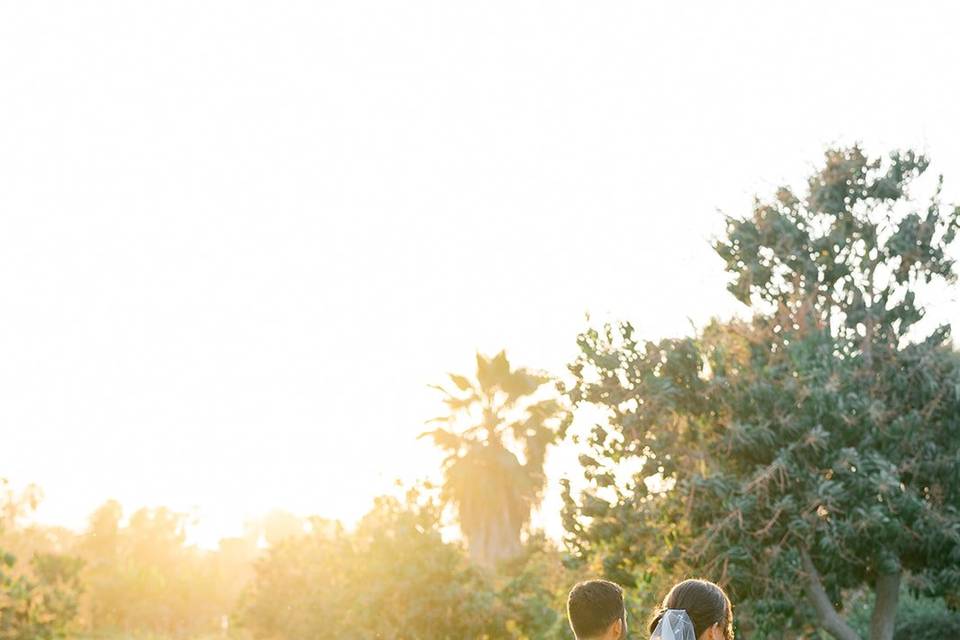 Romantic Cabo Weddings