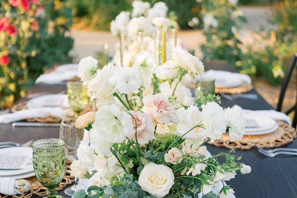 Romantic Cabo Weddings