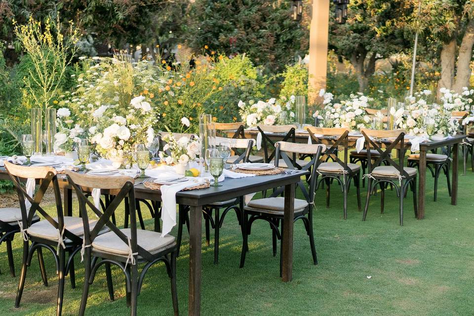 Romantic Cabo Weddings