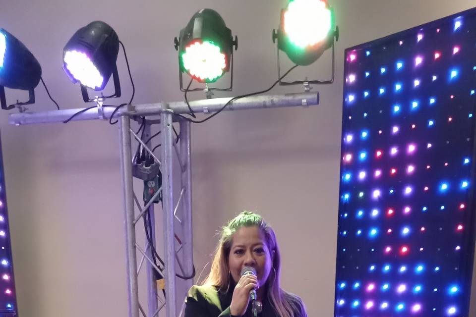 Voz en el escenario