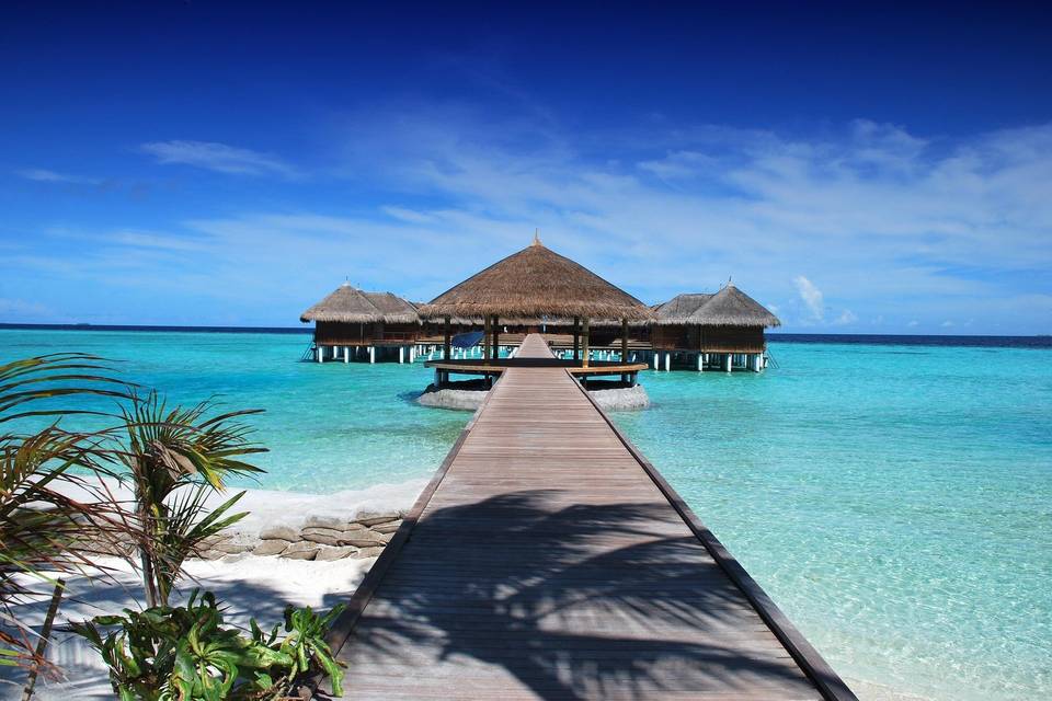 Maldivias