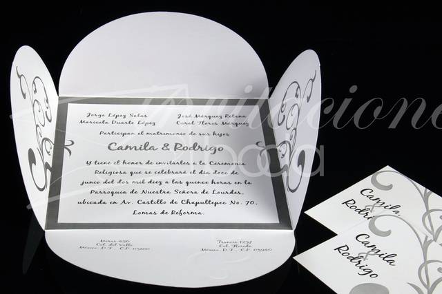 Modelo 1008 - abierta