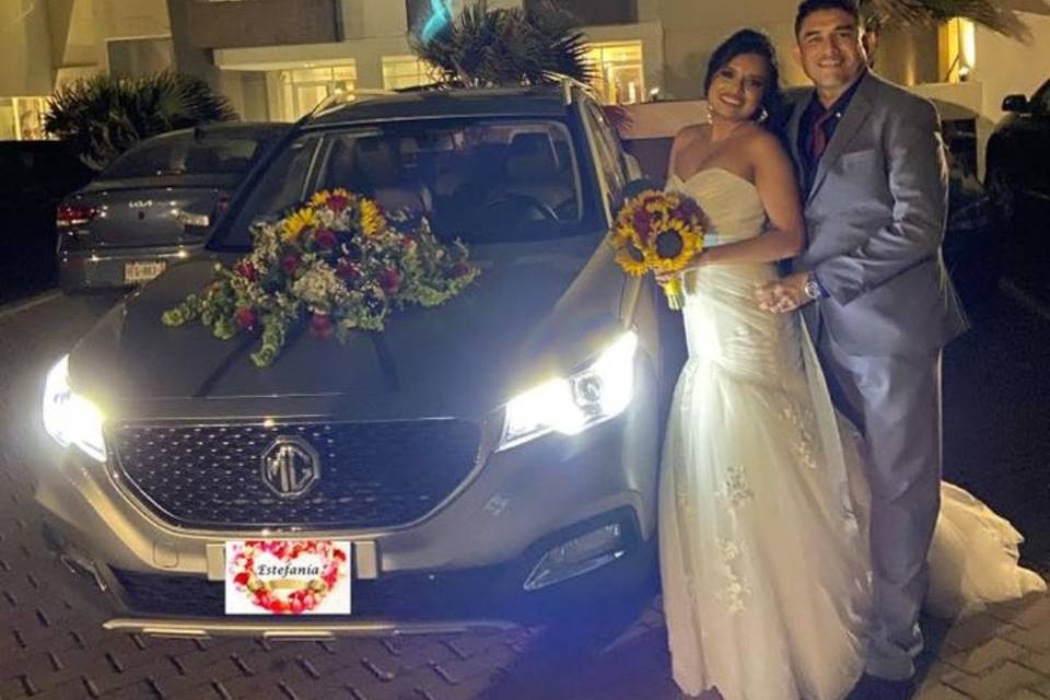 Novios
