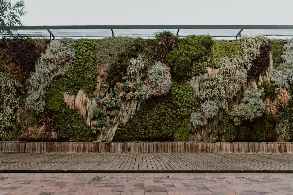 Muro verde / jardín / L86