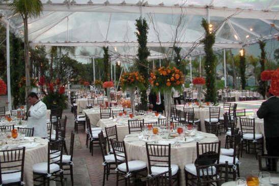 Toldos transparentes