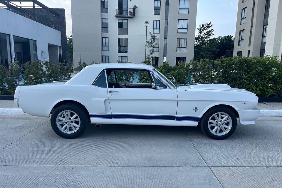 Un clásico Mustang 66