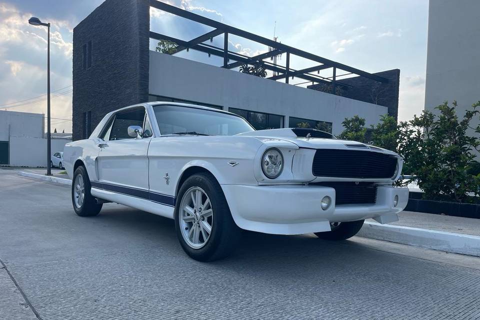 Un clásico Mustang 66