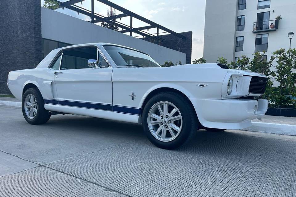 Excelente vista  Mustang 66