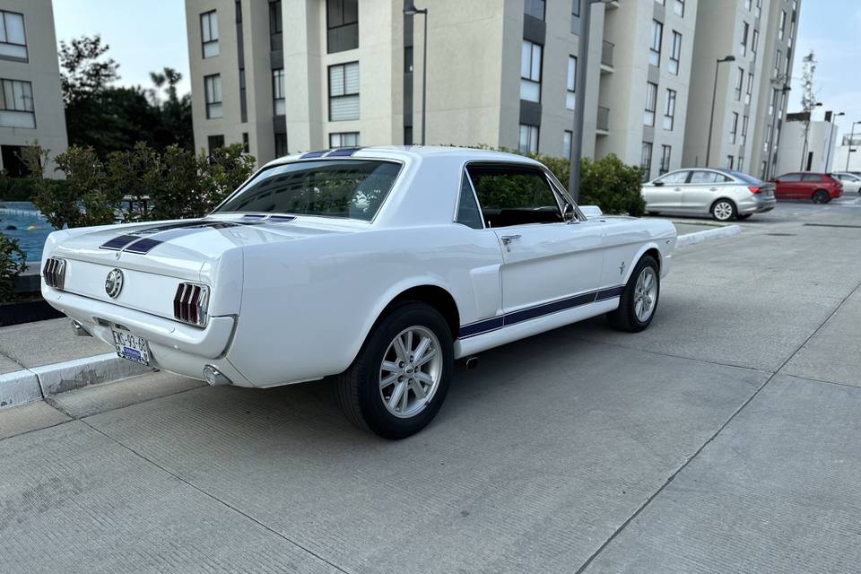 Un clásico Mustang 66