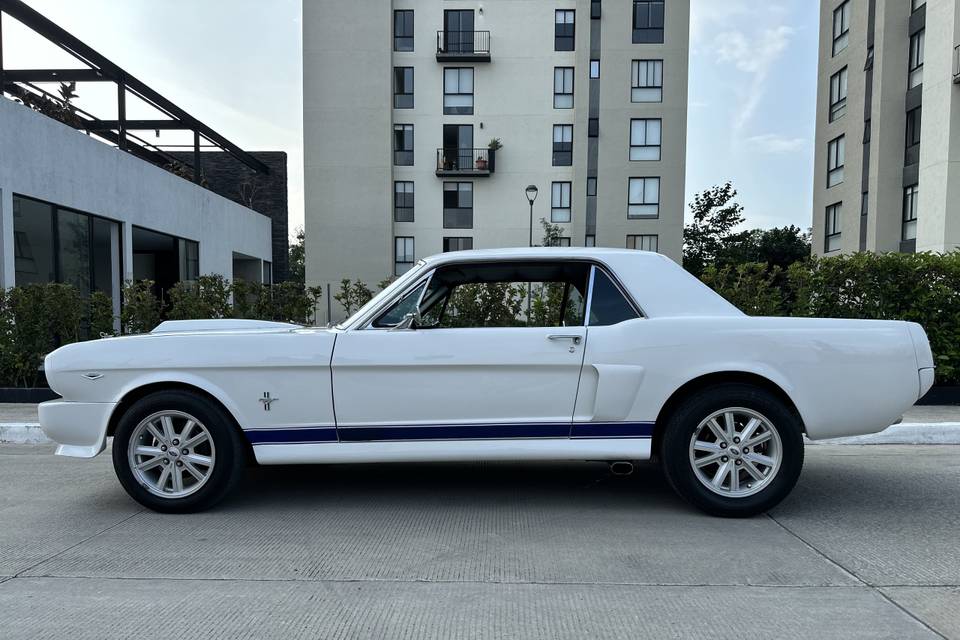 Un clásico Mustang 66