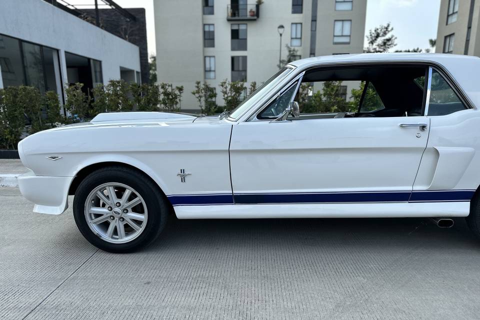 Un clásico Mustang 66