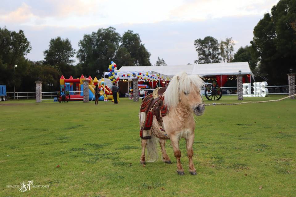 Fiesta infantil