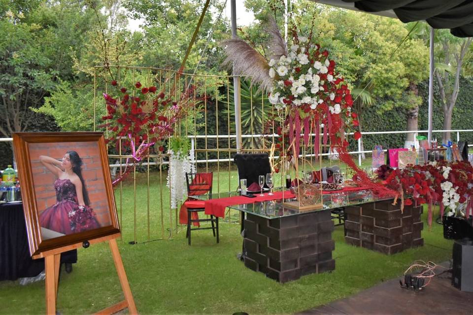 Xv años en sueño
