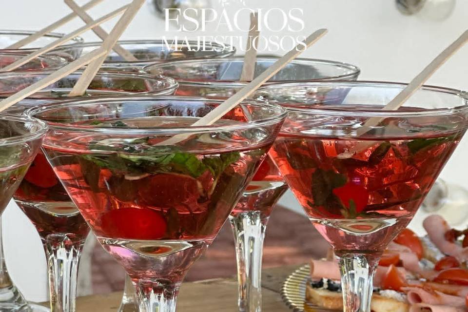 Cocteleria para recepcion