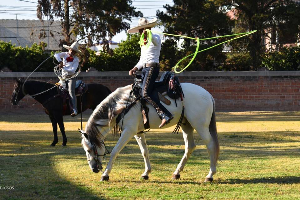 Charros