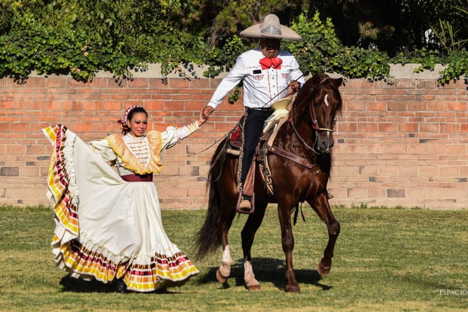 Charros