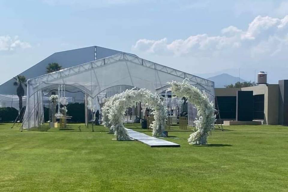 Carpa transparente