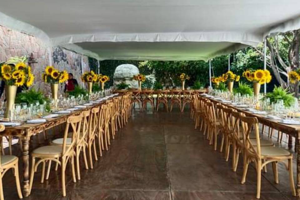 Eventos especiales