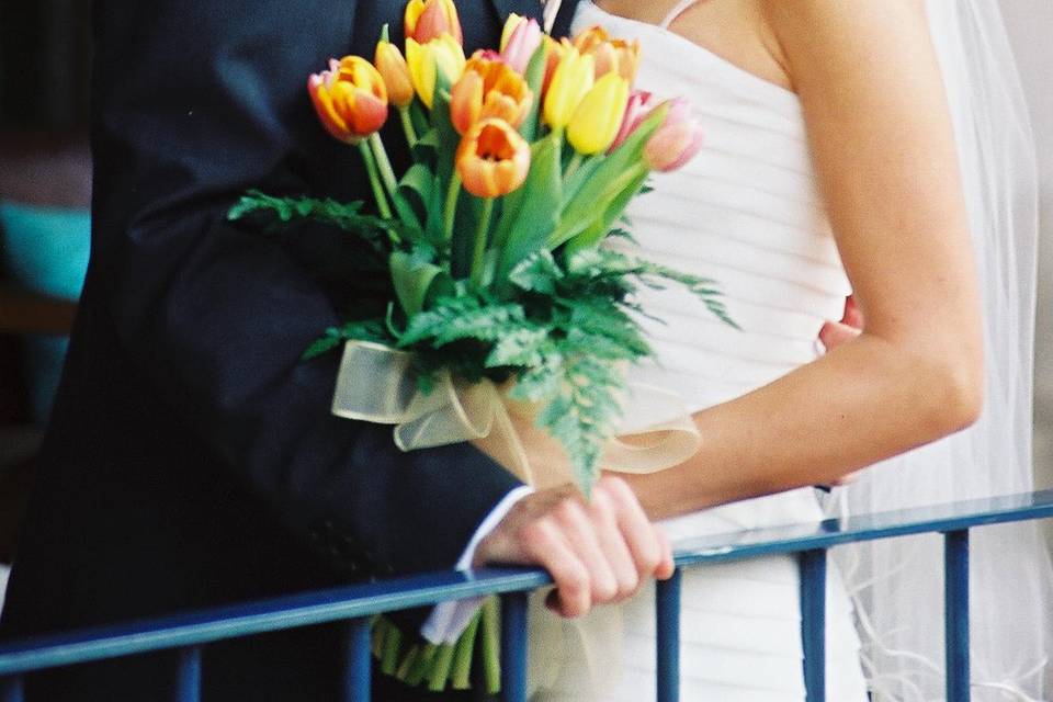 Fabio Bresso Fotografía