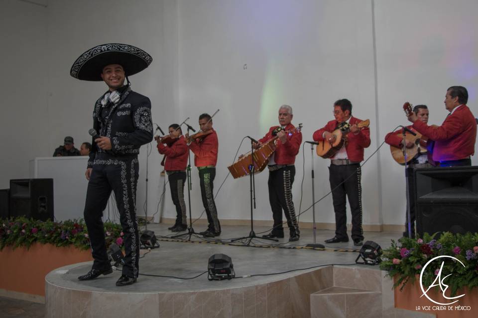 Boda de ensueño