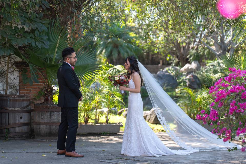 First Look