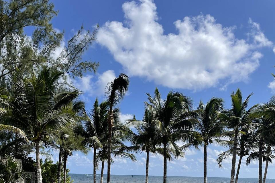 Jardín y Playa