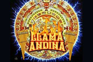Llama Andina