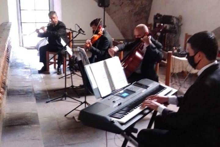 Piano, violín, flauta, cello