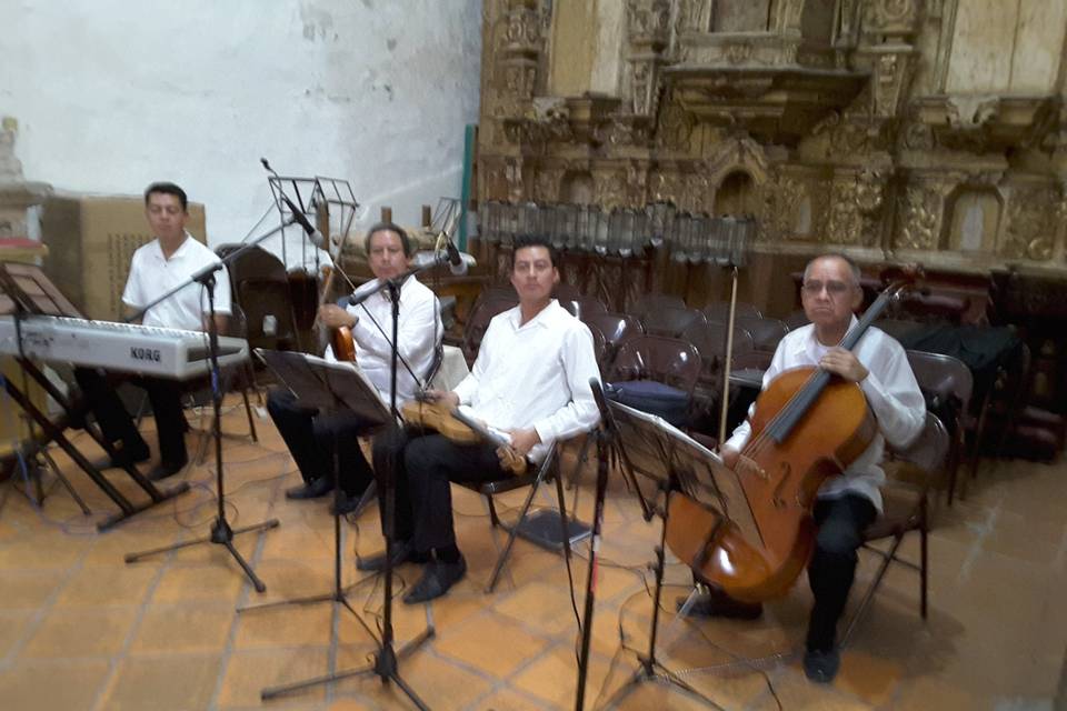 Voces e Instrumentos