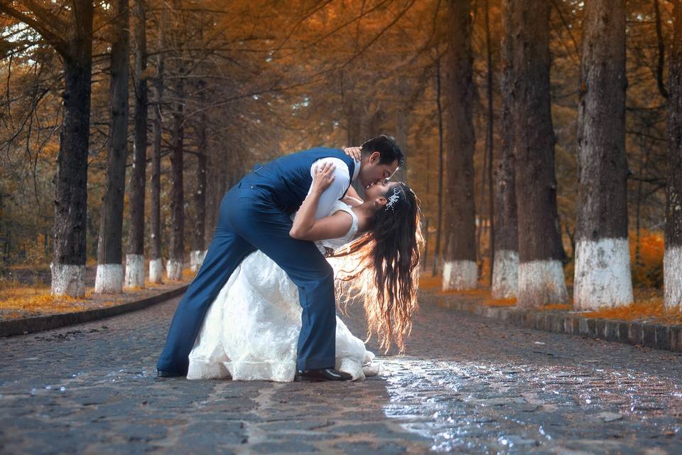 Trash the dress