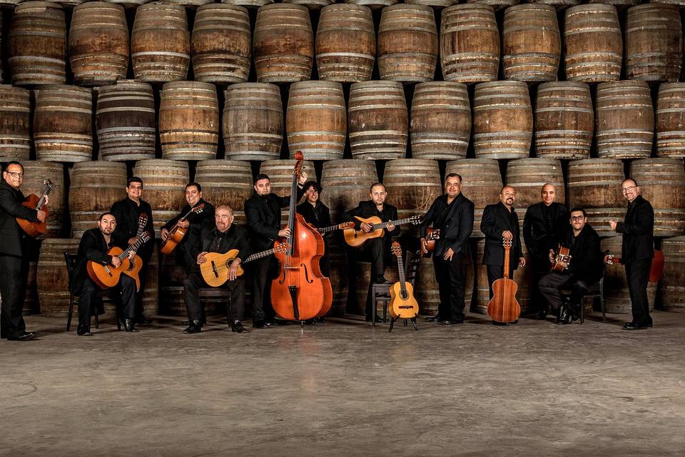 Rondalla Ensenada