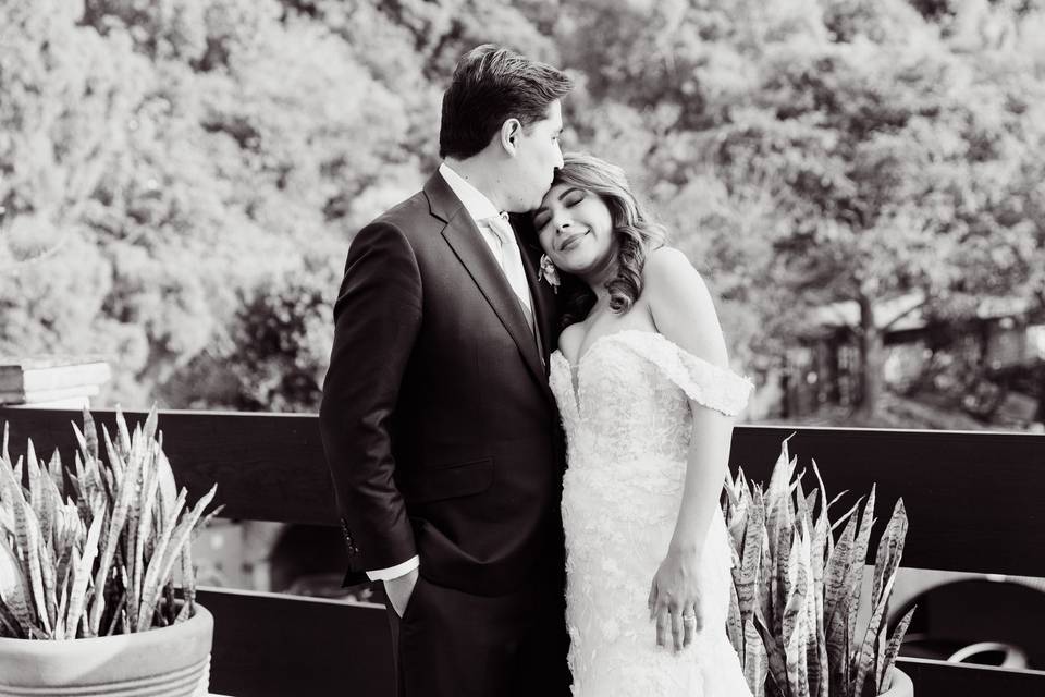 Novios