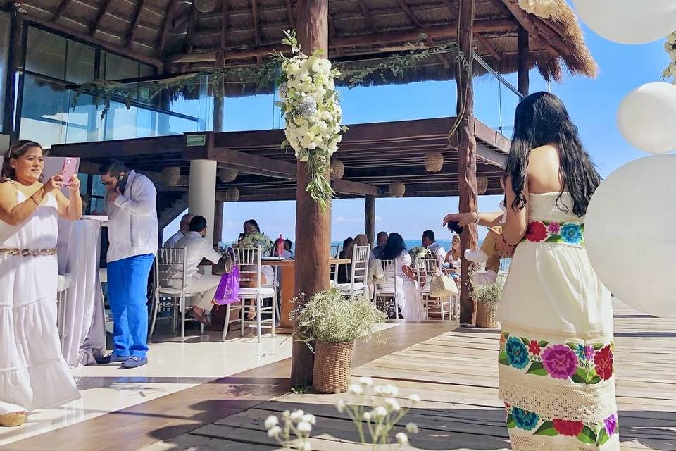 Palapa