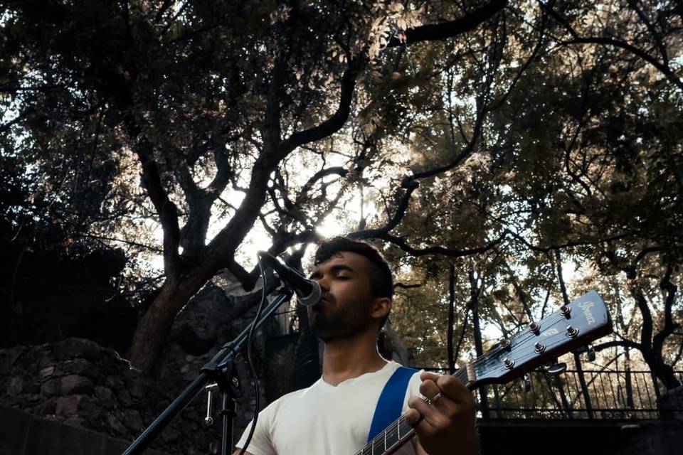 Guitarrista cantando