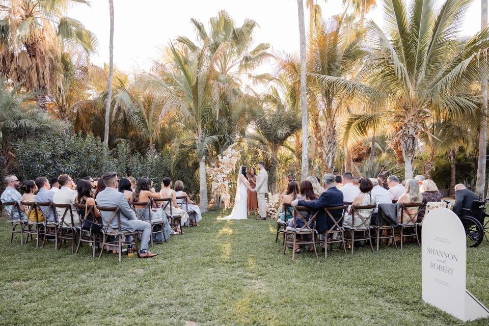 Los Cabos Wedding