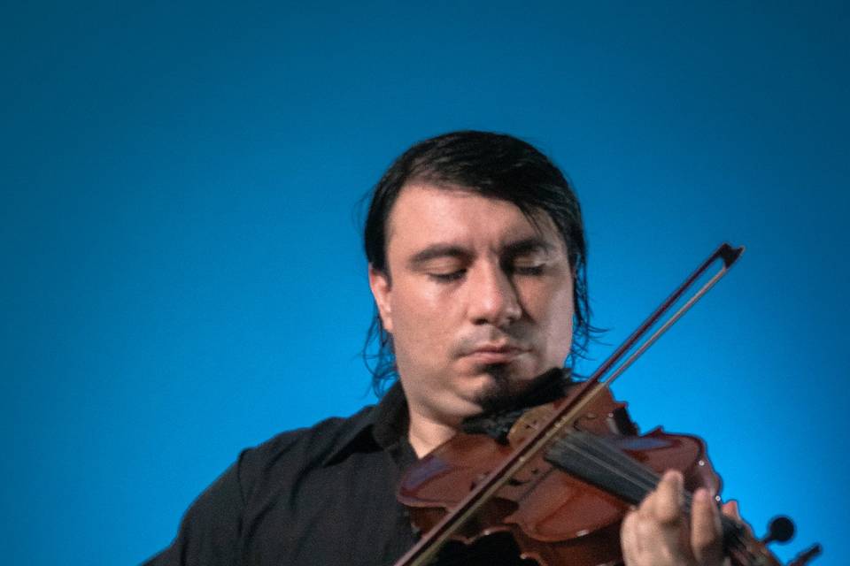 Violinista del grupo