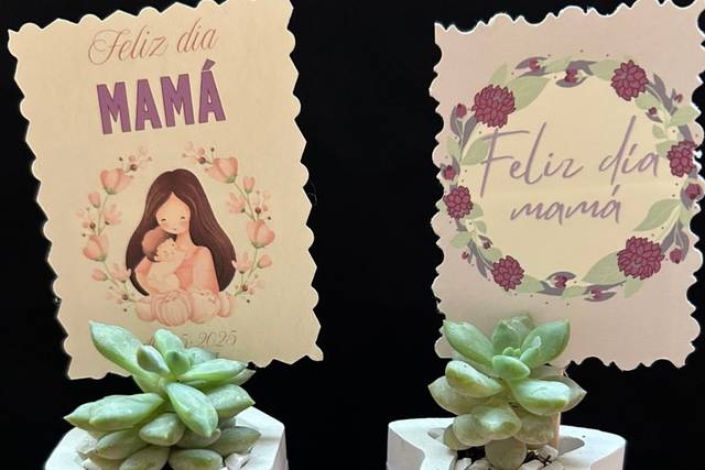 Mini macetas en diferentes for