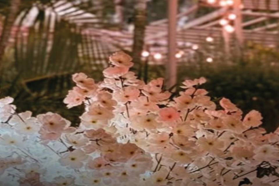 Flores