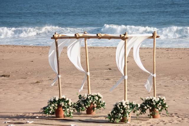 Fiesta Events & Professional Services