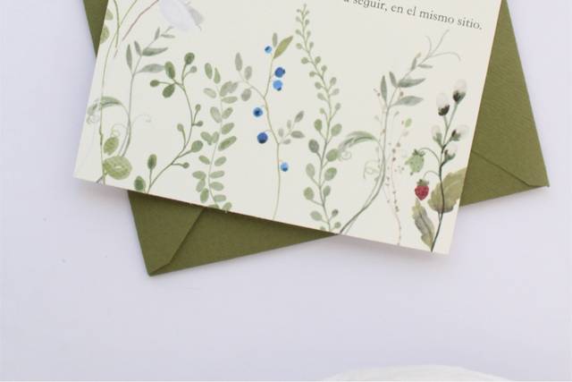 Set base olive