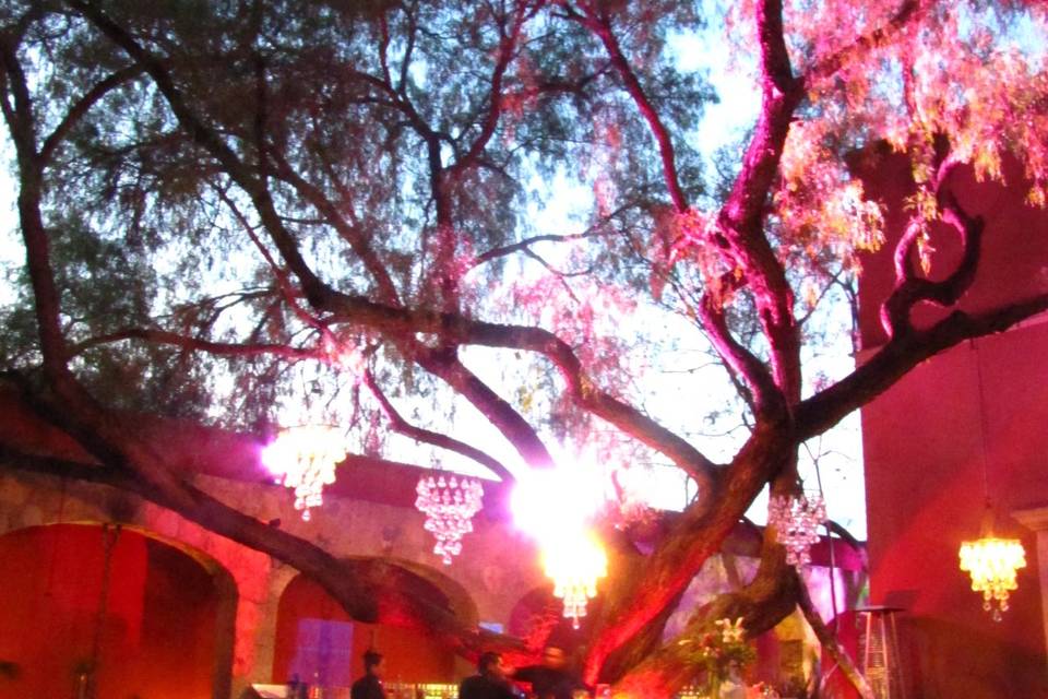 Boda A & E