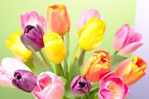 Cuidado de los detalles