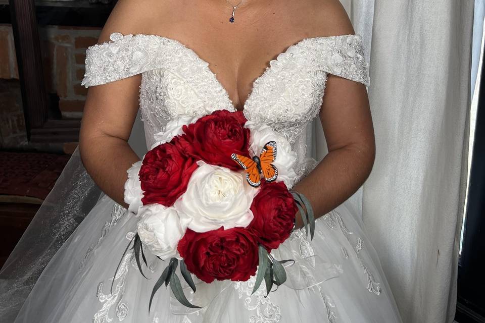 Novia