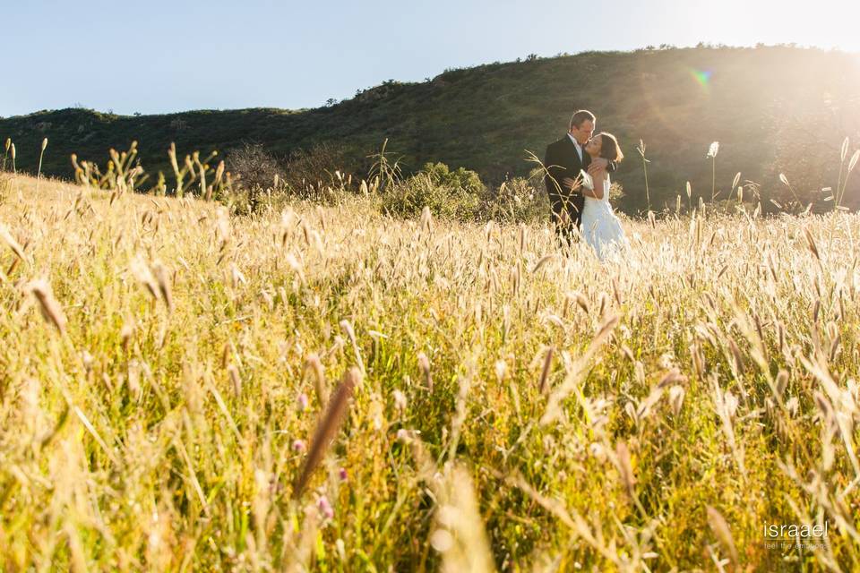 Trash the dress golden day