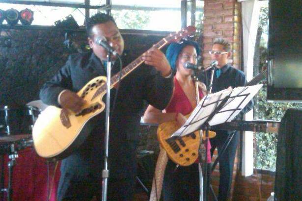 Músicos profesionales